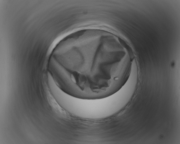 X0000116591530200912312025