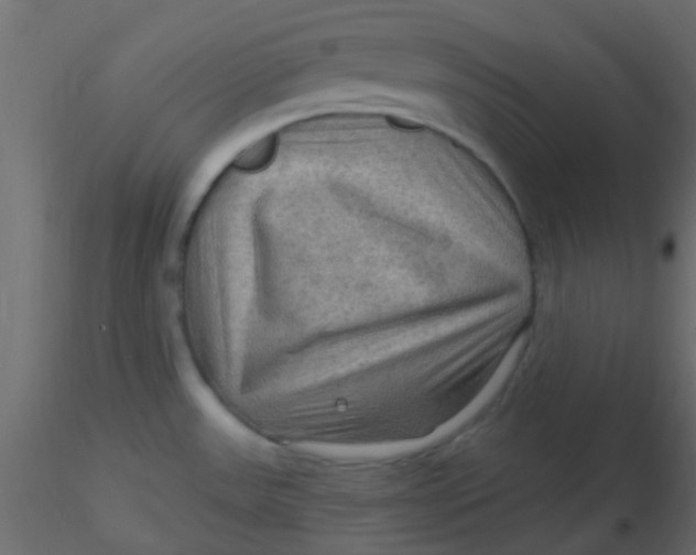 X0000116591531200912312025