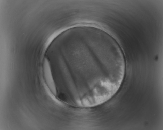 X0000116591533200912312025