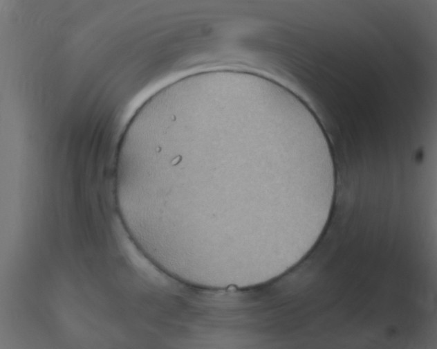 X0000116591534200912312025