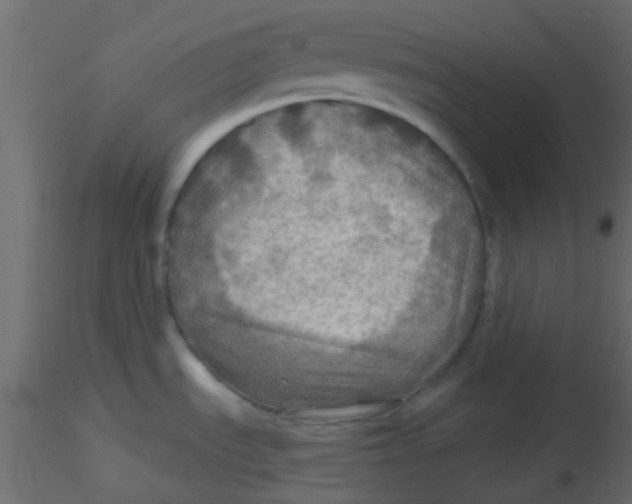 X0000116591535200912312025