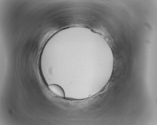 X0000116590001201001071243