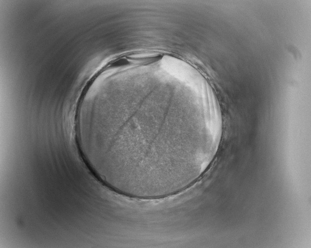 X0000116590002201001071243