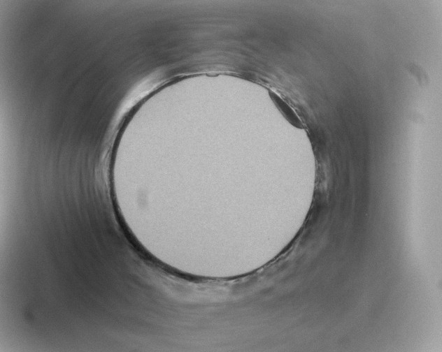 X0000116590004201001071243