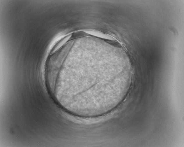 X0000116590006201001071243