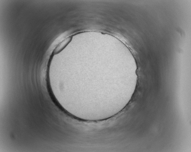 X0000116590007201001071243