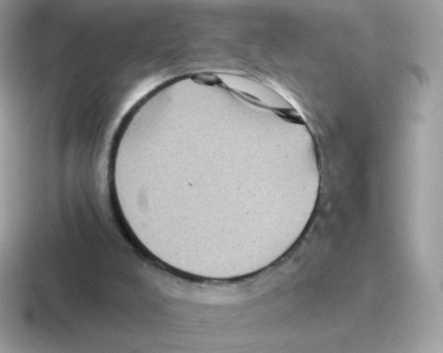 X0000116590008201001071243