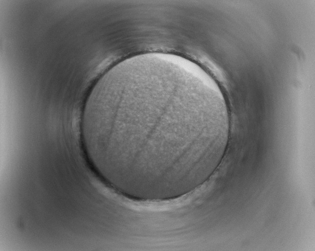 X0000116590009201001071243