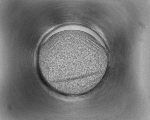 X0000116590012201001071243