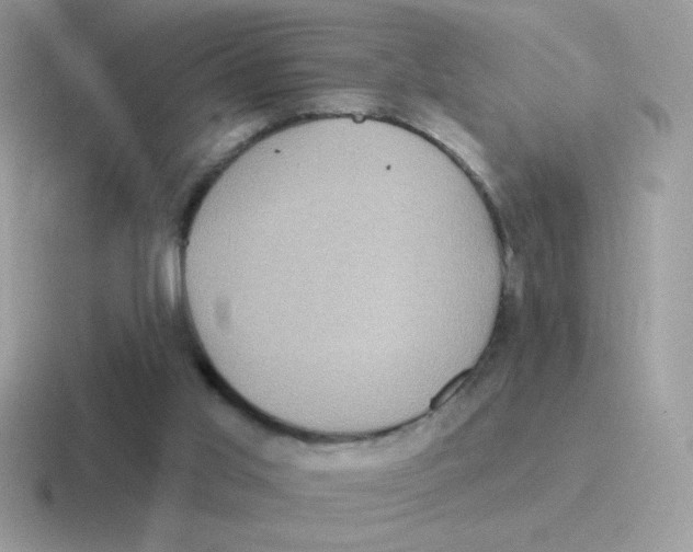 X0000116590013201001071243