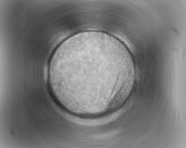 X0000116590014201001071243