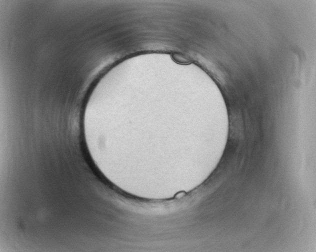 X0000116590015201001071243