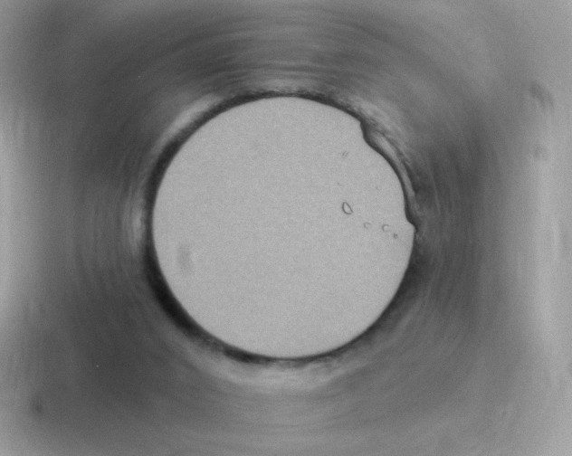 X0000116590016201001071243