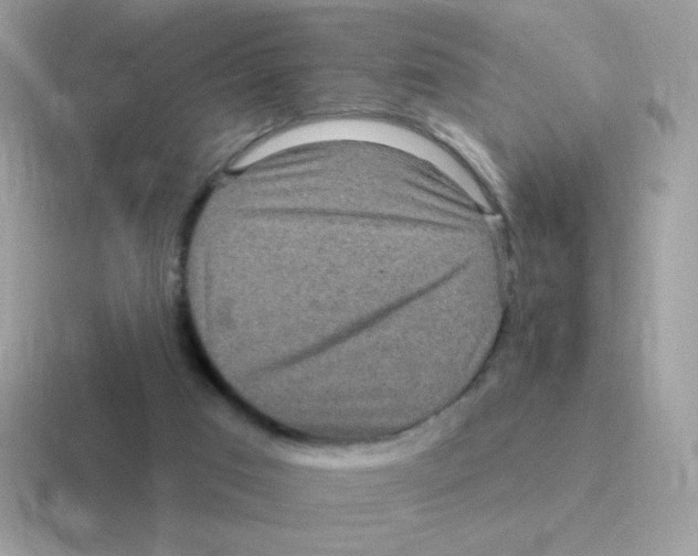 X0000116590017201001071243