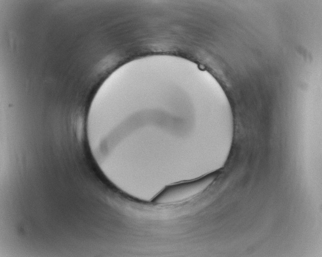 X0000116590019201001071242