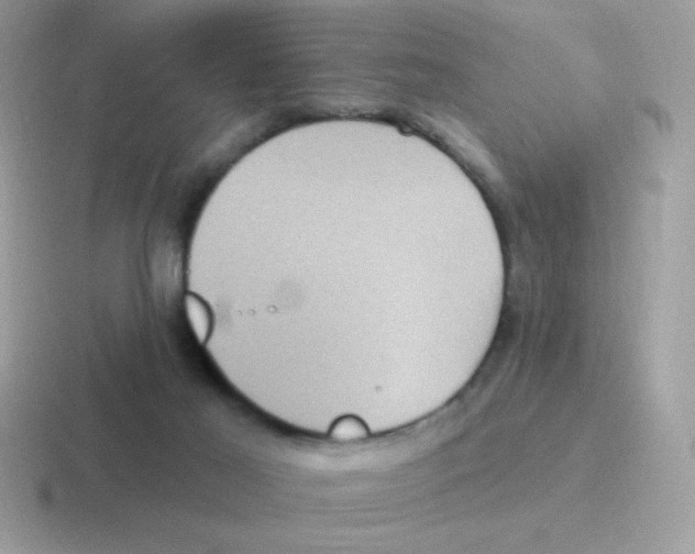 X0000116590021201001071242