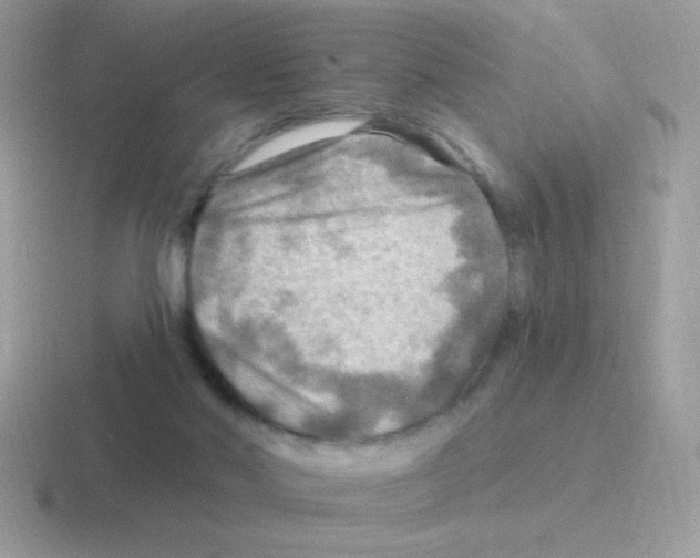 X0000116590022201001071242