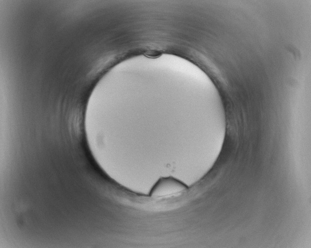 X0000116590023201001071242