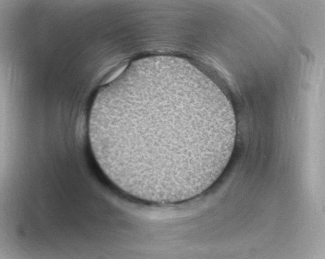 X0000116590024201001071242