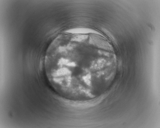 X0000116590026201001071242