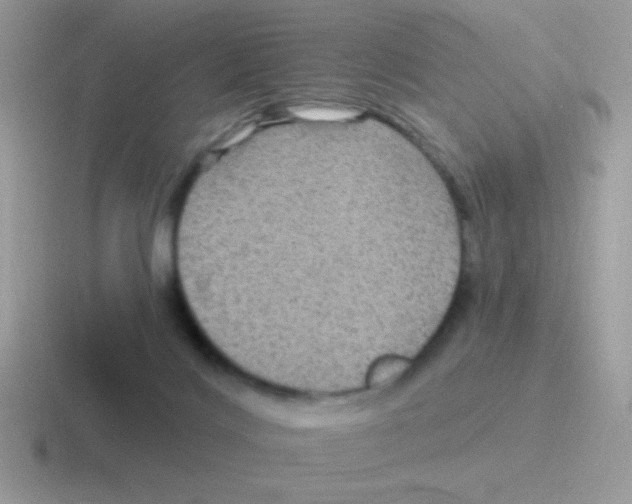 X0000116590028201001071242