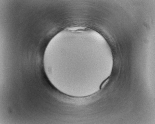 X0000116590031201001071242