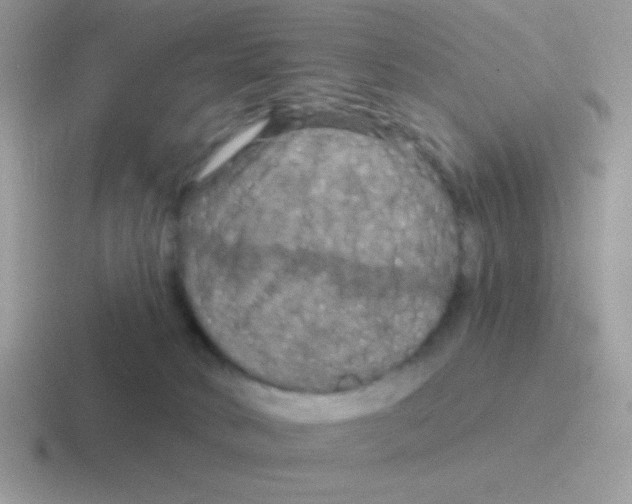 X0000116590034201001071242