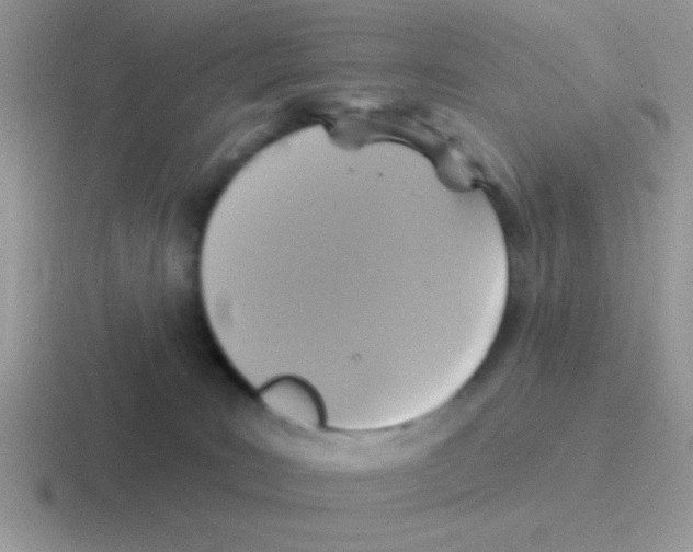 X0000116590035201001071242