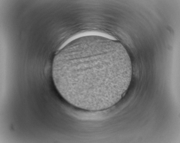 X0000116590036201001071242