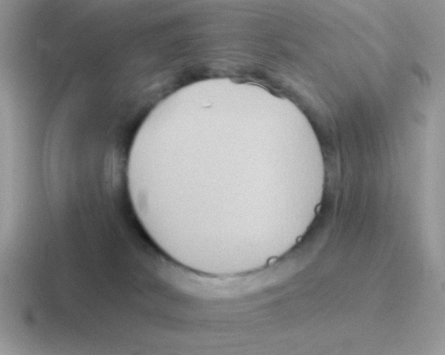 X0000116590038201001071242