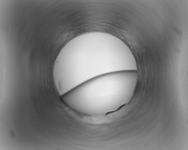 X0000116590041201001071242