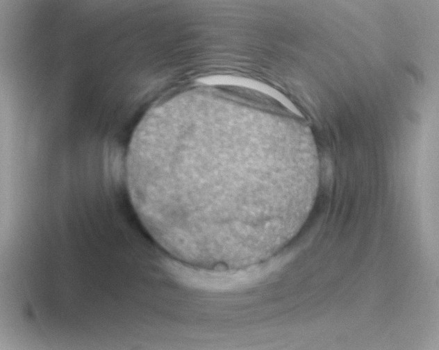 X0000116590042201001071242