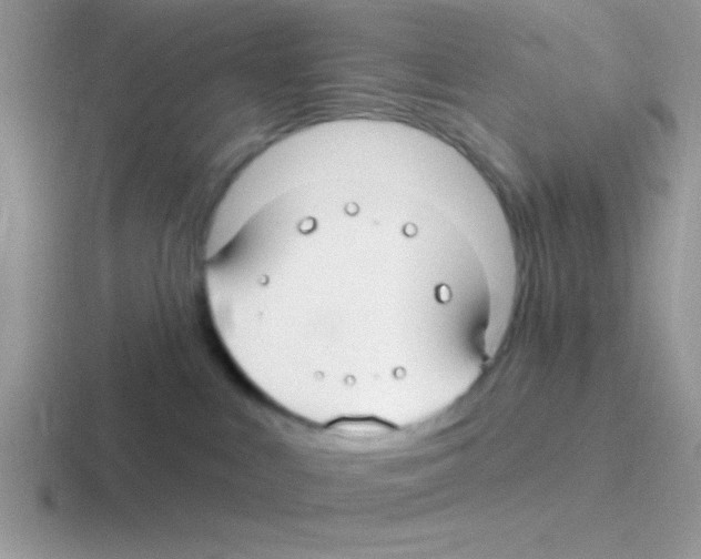 X0000116590043201001071242