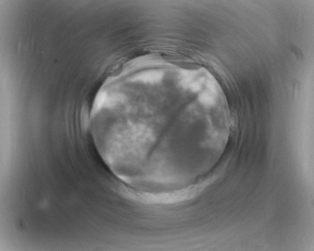 X0000116590046201001071242