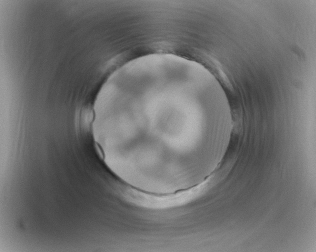 X0000116590047201001071242