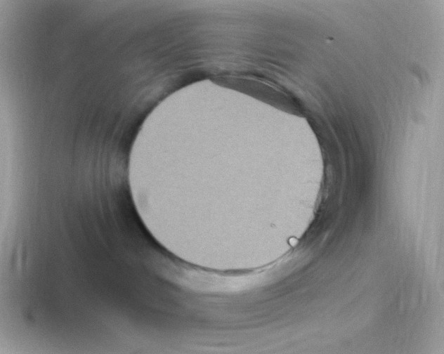 X0000116590048201001071242