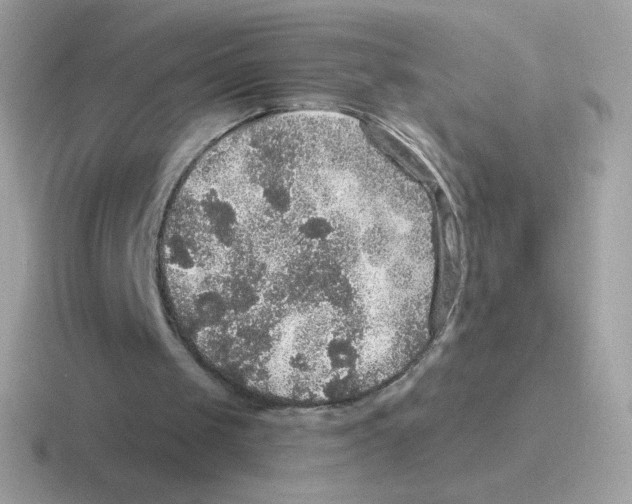 X0000116590049201001071242