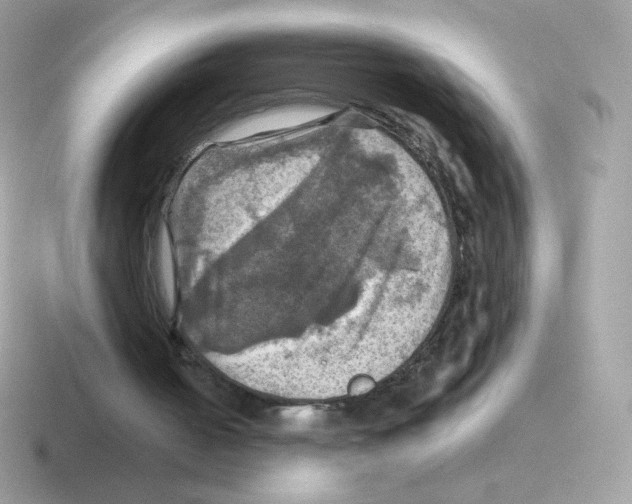 X0000116590050201001071242