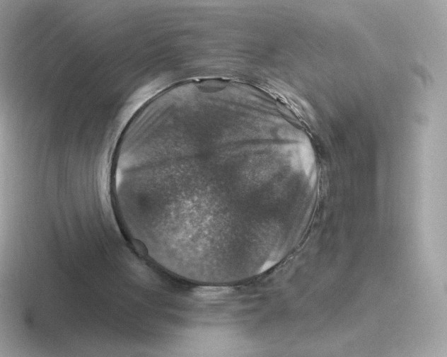 X0000116590051201001071242