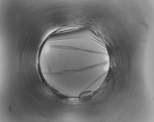 X0000116590052201001071242