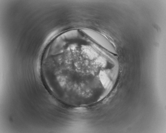 X0000116590053201001071242