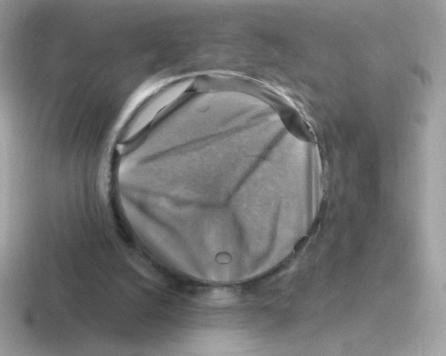 X0000116590056201001071242