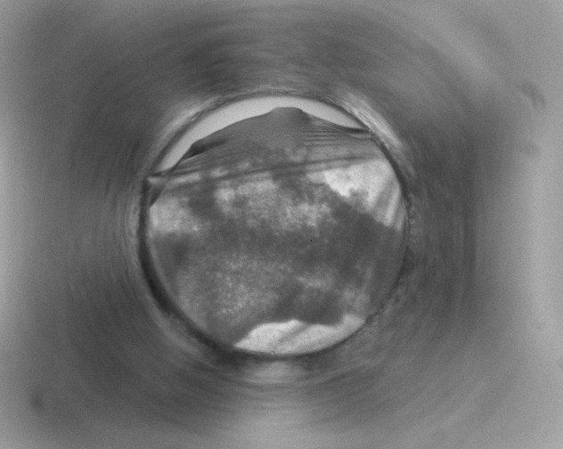 X0000116590058201001071242