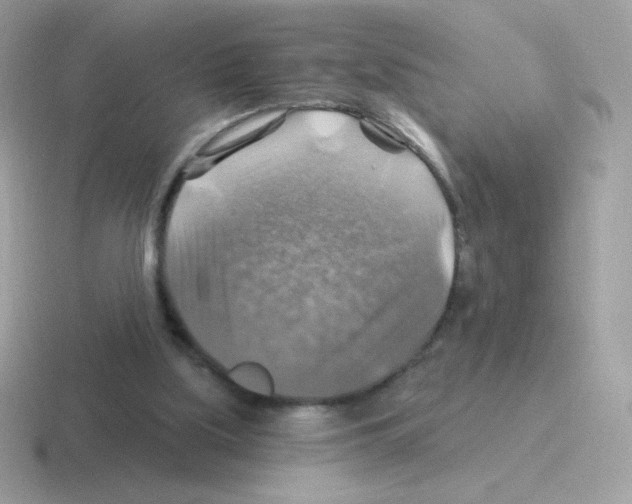 X0000116590059201001071242