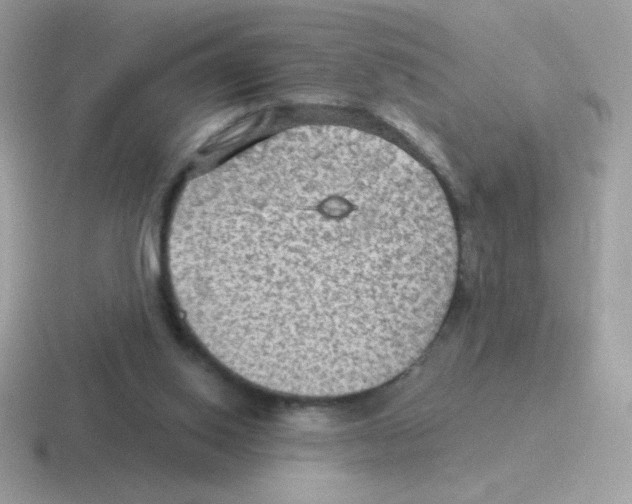 X0000116590062201001071242