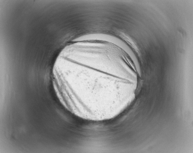 X0000116590065201001071242