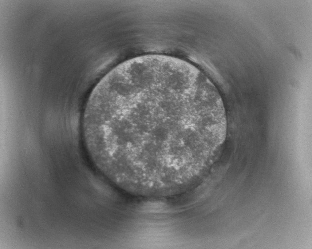 X0000116590066201001071242