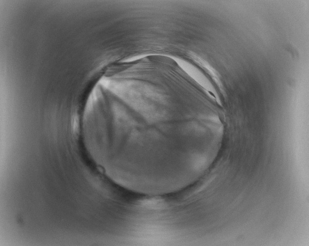 X0000116590067201001071242