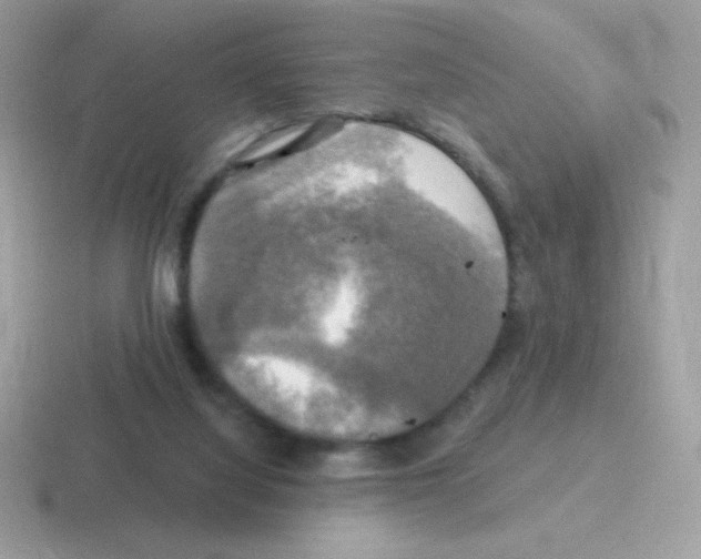 X0000116590068201001071242