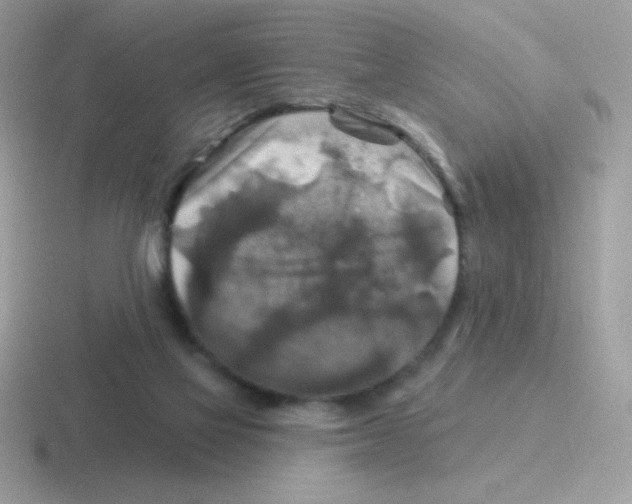 X0000116590069201001071242